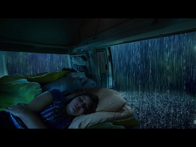 Sounds of Heavy Rain & Thunder outside the Car to Fall Asleep Immediately at Night in the Forest