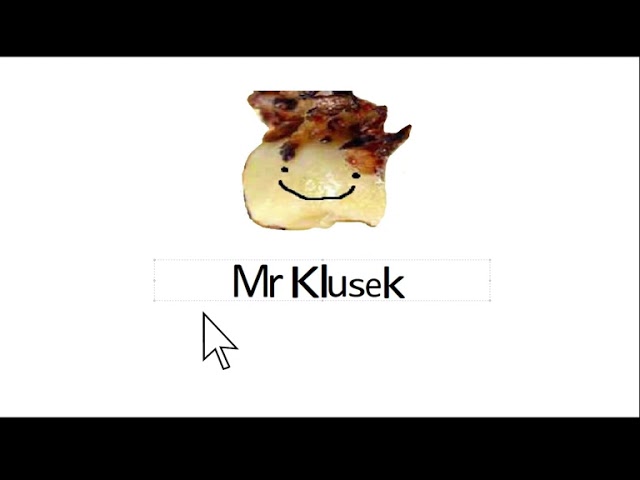 Intro Mr Klusek