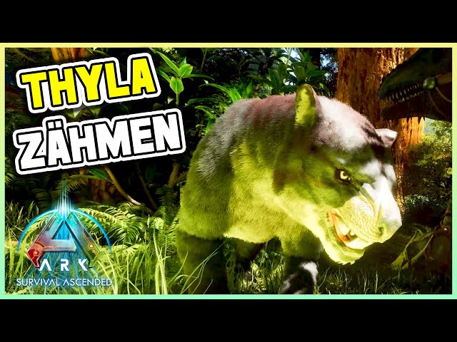 ARK Survival Ascended - 54 - Thyla zähmen & Quetzi in Gefahr ⭐ ASA Let's Play deutsch german