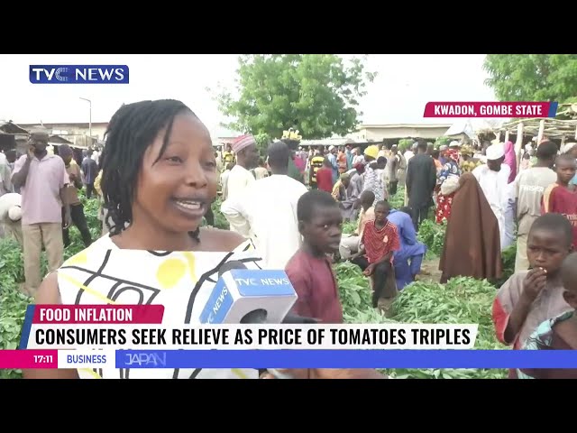 High Prices Of Tomatoes And Vegetables: Gombe Farmers Urge Urgent Government Intervention