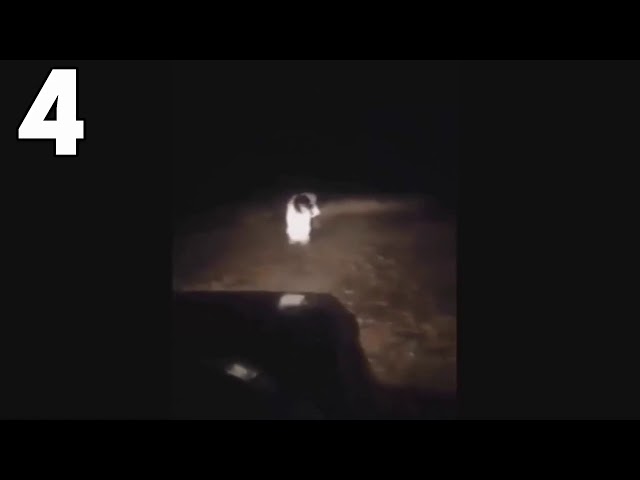 Top 5 - Mysterious things/creatures caught on camera