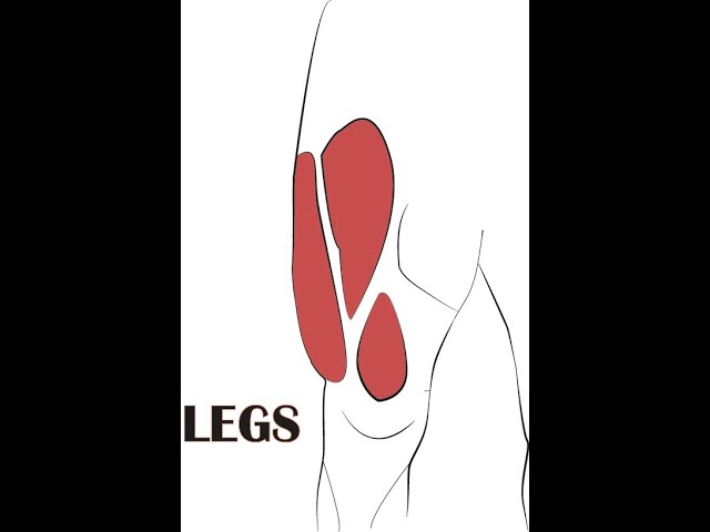 5 MINUTE LEG WORKOUT !!!   (GLUTES AND HAMSTRINGS)
