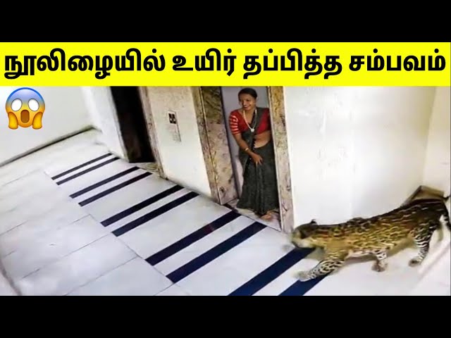கேமராவில் பதிவான அதிர்ச்சி காட்சிகள்  | Unbelievable Moments Caught On Camera | Tamil Amazing Facts