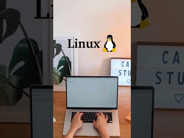 ¿Se puede usar linux en 2024?