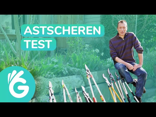 Astschere Test – Fiskars, Gardena und mehr im Vergleich