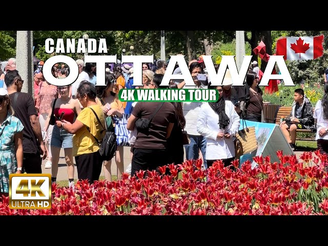 Ottawa Canada 🇨🇦 2024 4K UHD (HDR) 60 fps Walking Tour