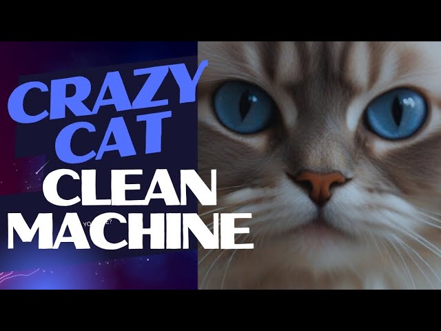 Unbelievable Cat Cleaning Skills Revealed!