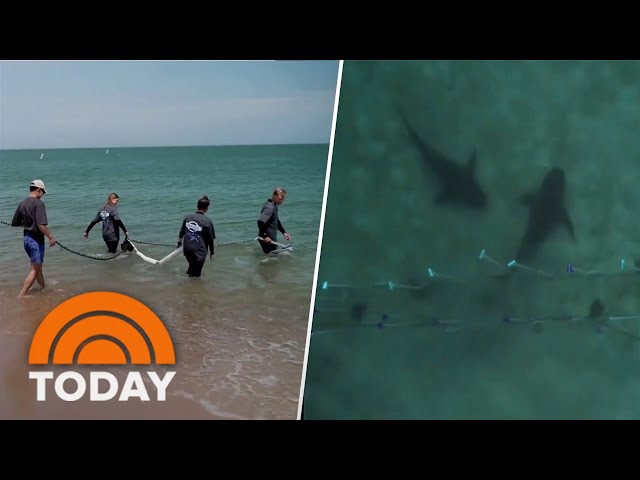 Inside look at new technology that aims to prevent shark attacks