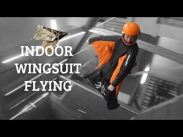 Best Indoor Wingsuit Flying 2020 - Awesome POV