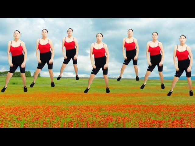 aerobics exercise, the most effective, fat burning, twist waist, reduce belly fat/lovely dance fit