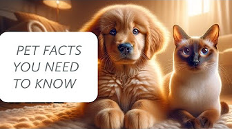🌟 BEST & CUTEST Pets Ever! 😍 | Dogs, Cats, and More! 🐾🐶🐱