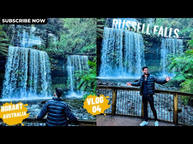 🌿 "Tasmania's Natural Wonder: Russell Falls 2023| Tawsif Khan Ridoy" 🏞️#russellfalls #australia