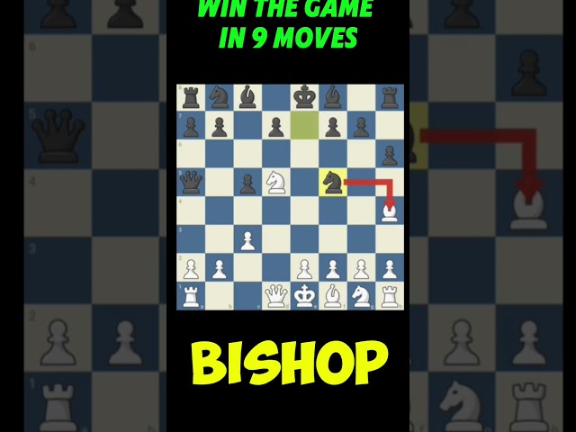 opening trap fight 125👌 #chesssinhala #chess #gambit #chesslessons #checkmate #chesstricksinhala