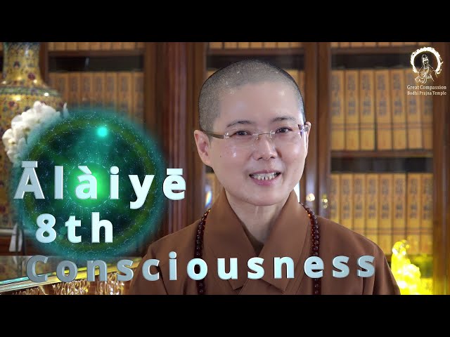8th Consciousness | Our Mind Database: the Base and Instigator of Mental Activity | Master Miao Jing