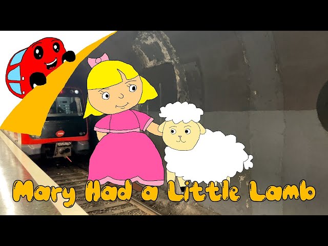 Mary Had a Little Lamb | Nursery Rhyme with Sing Along Lyrics | @LittleReddishCar