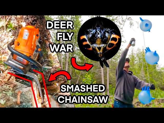 Testing YouTube Inventions for Demon Flies + Chainsaw Crushing Mishap #194