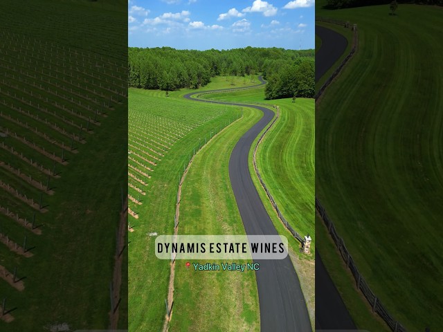 Check out this amazing winery Dynamis Estate Wines #visitnc #ncwine #northcarolina #explorenc