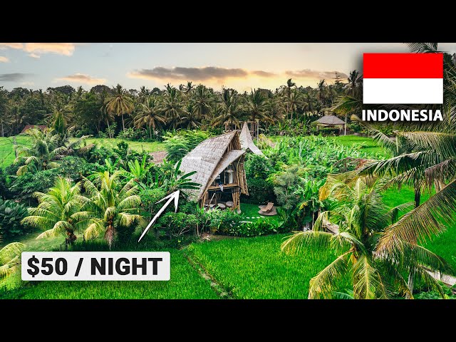 Sleeping in Bali's Best Bamboo Villa! (overlooking ricefields)