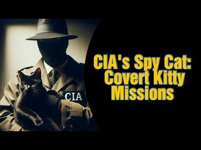 CIA's Spy Cat: Covert Kitty Missions #history #cia #america