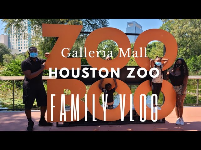 Family Vlog | Zoo Trip | Houston Zoo