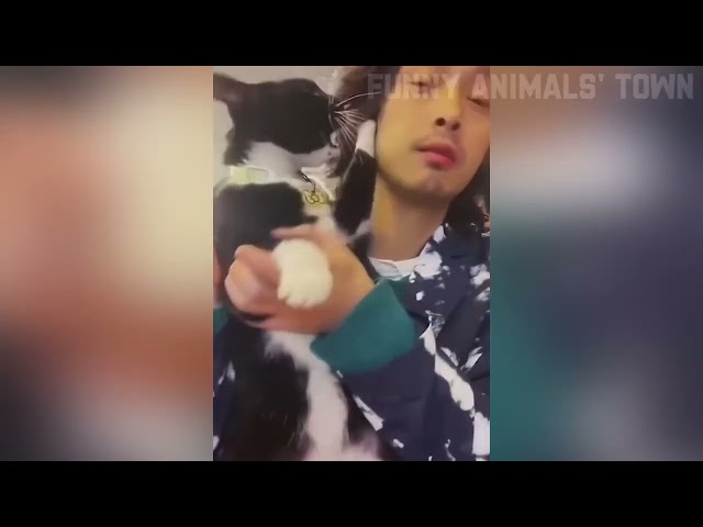 Viral Video: Mind-Blowing Experimen  #videos funny animals #hindi funny animal videos,#kidsvideo fun