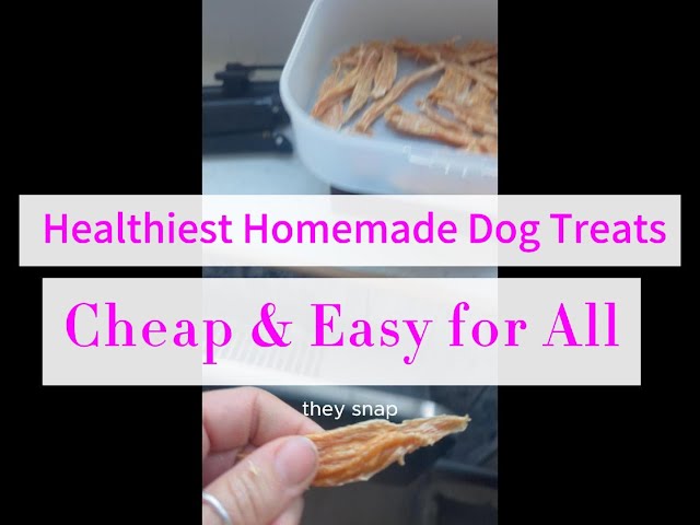 Best #homemade #dog treats! 100% healthy!