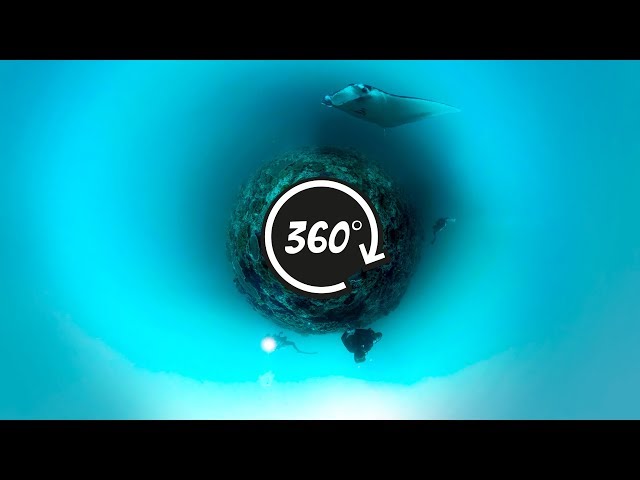 360° Bali Underwater: Manta Point Nusa Penida