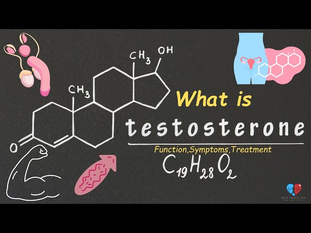 What is the TESTOSTERONE |Sex Hormone | functions| Symptoms | Treatment | Med About You