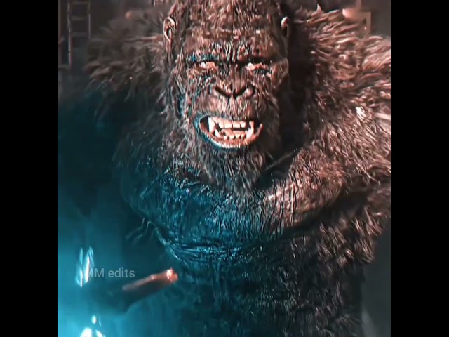 Kingkong vs Godzilla #kingkong #godzilla #kingkongvsgodzilla #godzillavskingkong #kingkongmovie