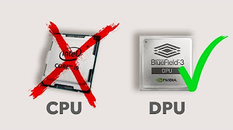 CPU   GPU  DPU   TPU   NPU