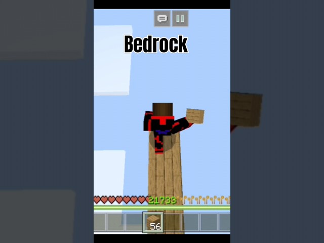 Minecraft Java VS Bedrock In Third Person camera game 🤯 #minecraft #shorts