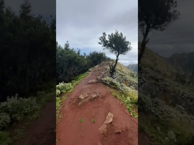 🥾 TF-9 Three Villages Trail ⛰️ in Anaga Rural Park | Tenerife hiking
