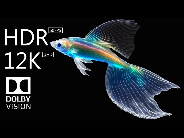 Translucent Fish 12K HDR Dolby Vision | Mesmerizing Aquatic Beauty in 12K 60FPS