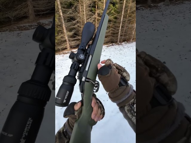 Ruger American 6.5 Creedmoor Shooting At Deer.🌲🦌