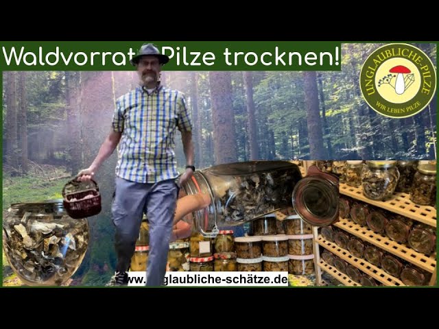 Waldvorrat - Pilze trocknen & haltbat machen - Pilze sammeln im August 2023
