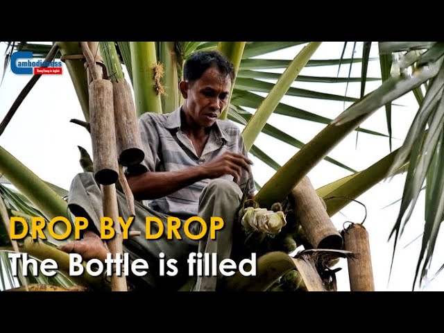 Drop by Drop: The Making of Palm Juice in Cambodia