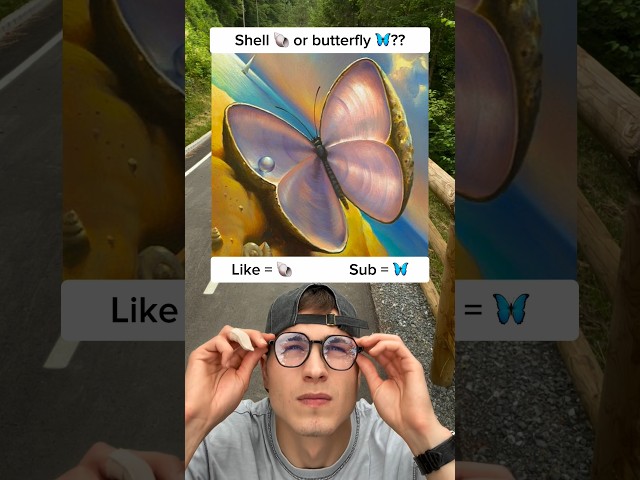 Shell 🐚 or butterfly 🦋?? #thoughts #illusion #viral #shorts #question #survey