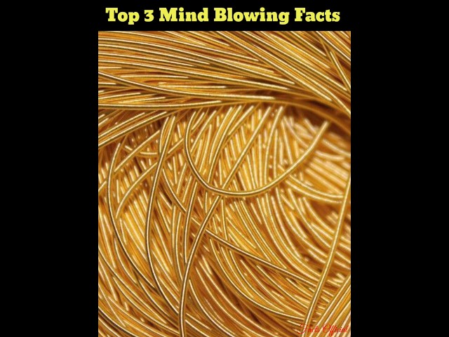 Top 3 Mind Blowing Facts in Hindi #shorts #ytshort #@FactsMine #@ridwanfacts #@factpower09
