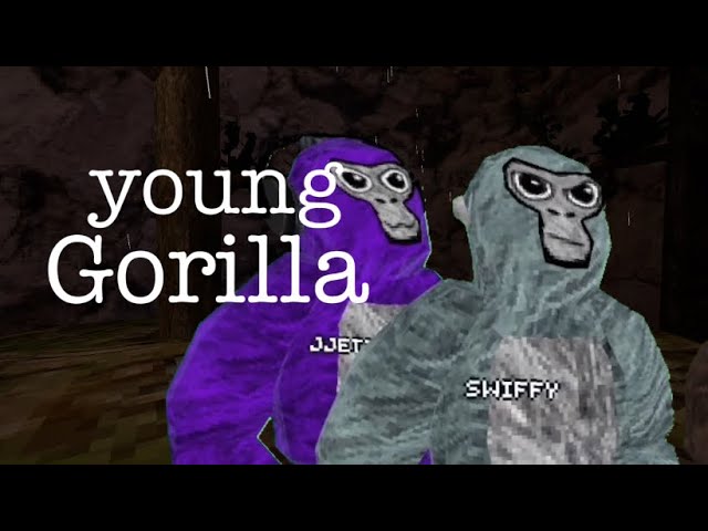 Young Gorilla Intro || Gorilla Tag