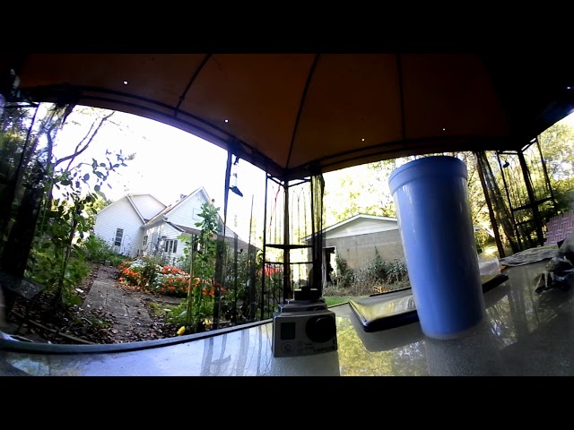 Waldrip 360 Video - Roger Learning 360 Video