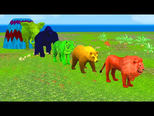 Long Slide Game Hippo Elephant Gorilla Lion Tiger Dog Cow Bear - Animals 3D Games