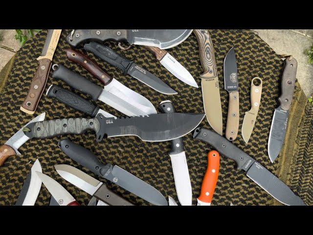 My Knife Collection 2023