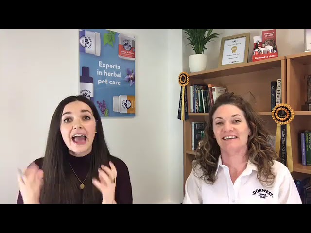 Dorwest Facebook Live- Solving YOUR Dog's Winter Health & Joint Care Issues (Plus Some Top Tips!)