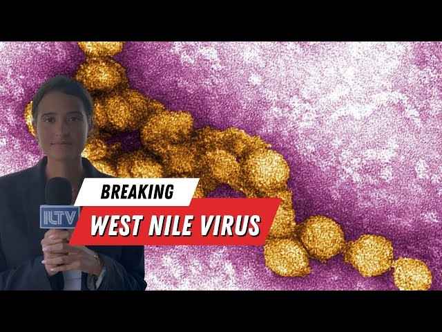 Israelis Die from West Nile Virus. Hospital Aims for Cure