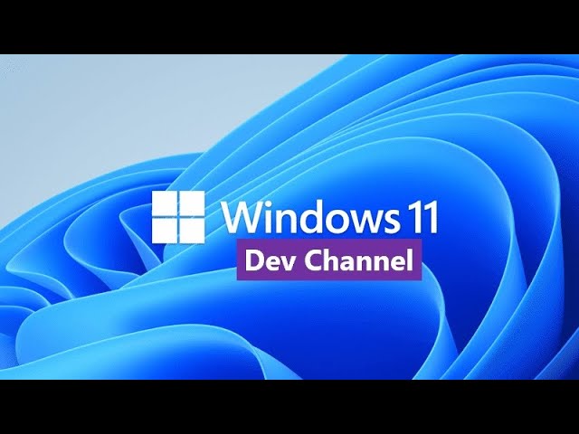 Windows 11 Build 23451: new File Explorer Details Pane, improved Windows Spotlight and more