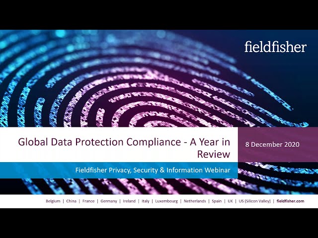 Global Data Protection Compliance: A Year in Review