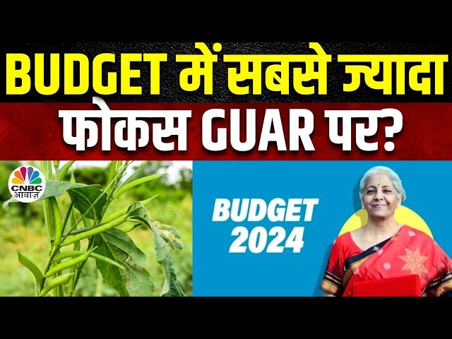 Guar Trading | Budget 2024 | Guar Seed Option को मिला SEBI की हरी झंडी, बजट से क्या है उम्मीद?