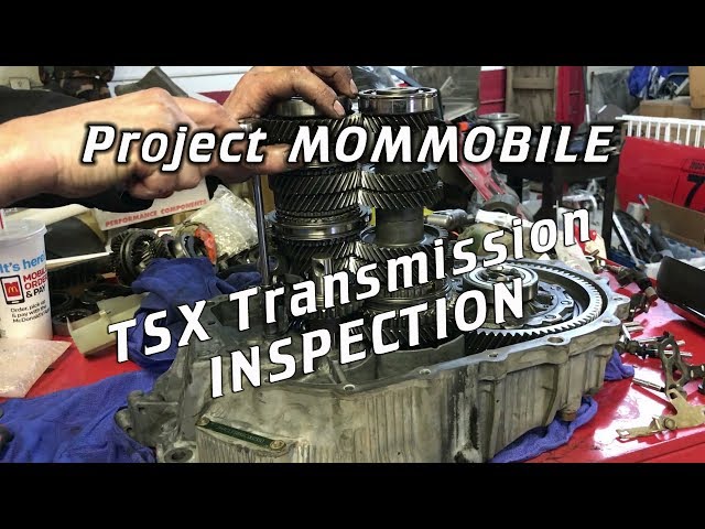 Is Our TSX Transmission GOOD?!?!- Project Mommobile