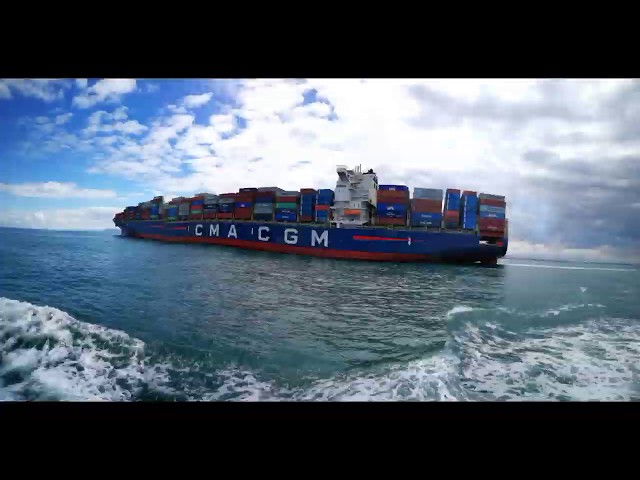DOCKING 338 METER LONG 43 METER WIDE LARGE CONTAINER SHIP IN GALE FORCE WINDS