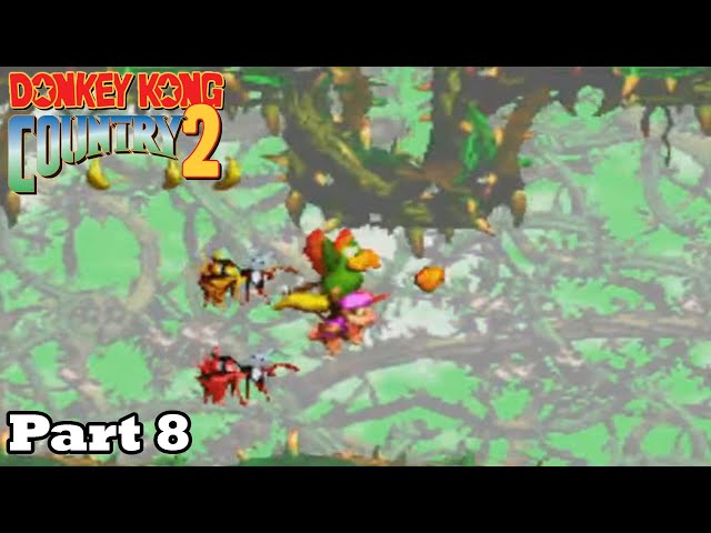 Slim Plays Donkey Kong Country 2 (GBA) - Part 8